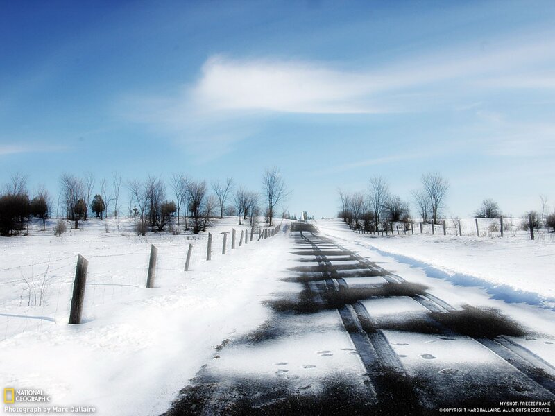 Snowy Road in Winter Landscape