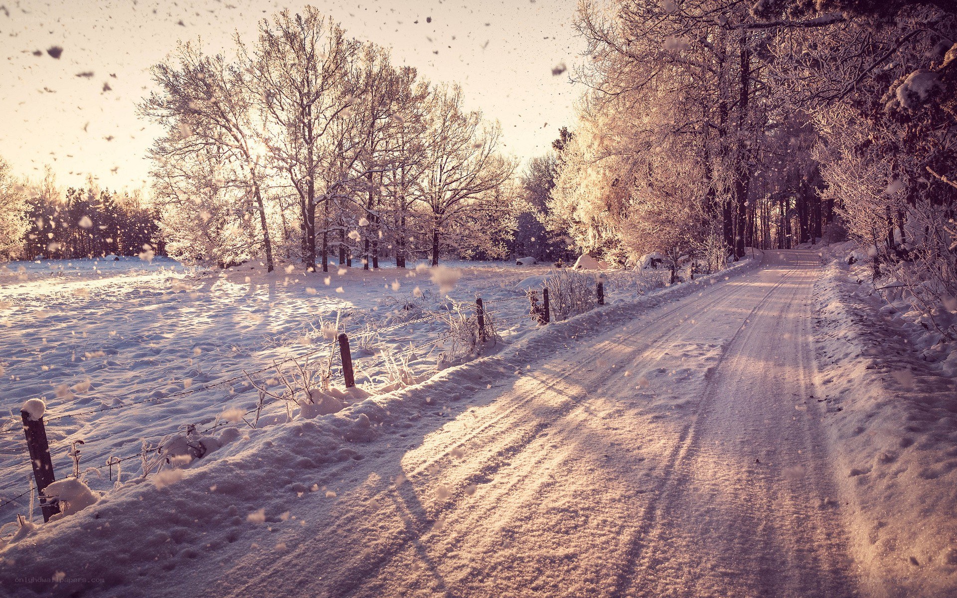Snowy road in winter landscape