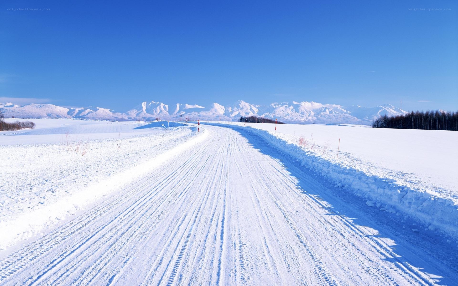 Snowy road in winter landscape