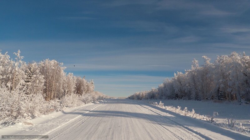 Snowy Road in Winter Landscape