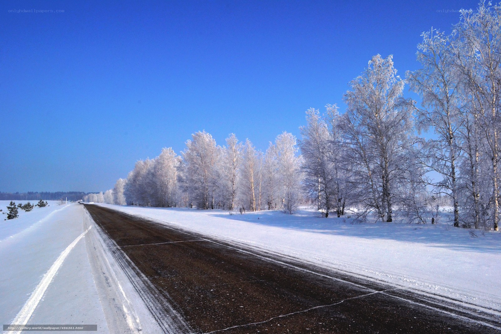 Snowy road in winter landscape
