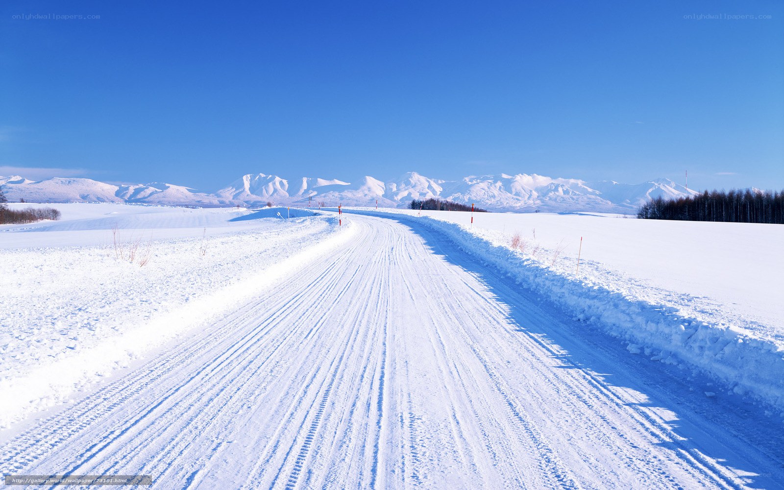 Snowy road in winter landscape