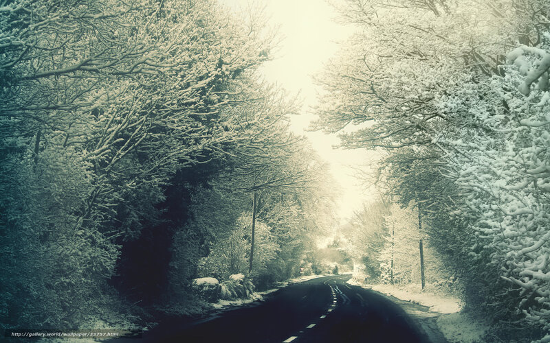 Snowy Road in Winter