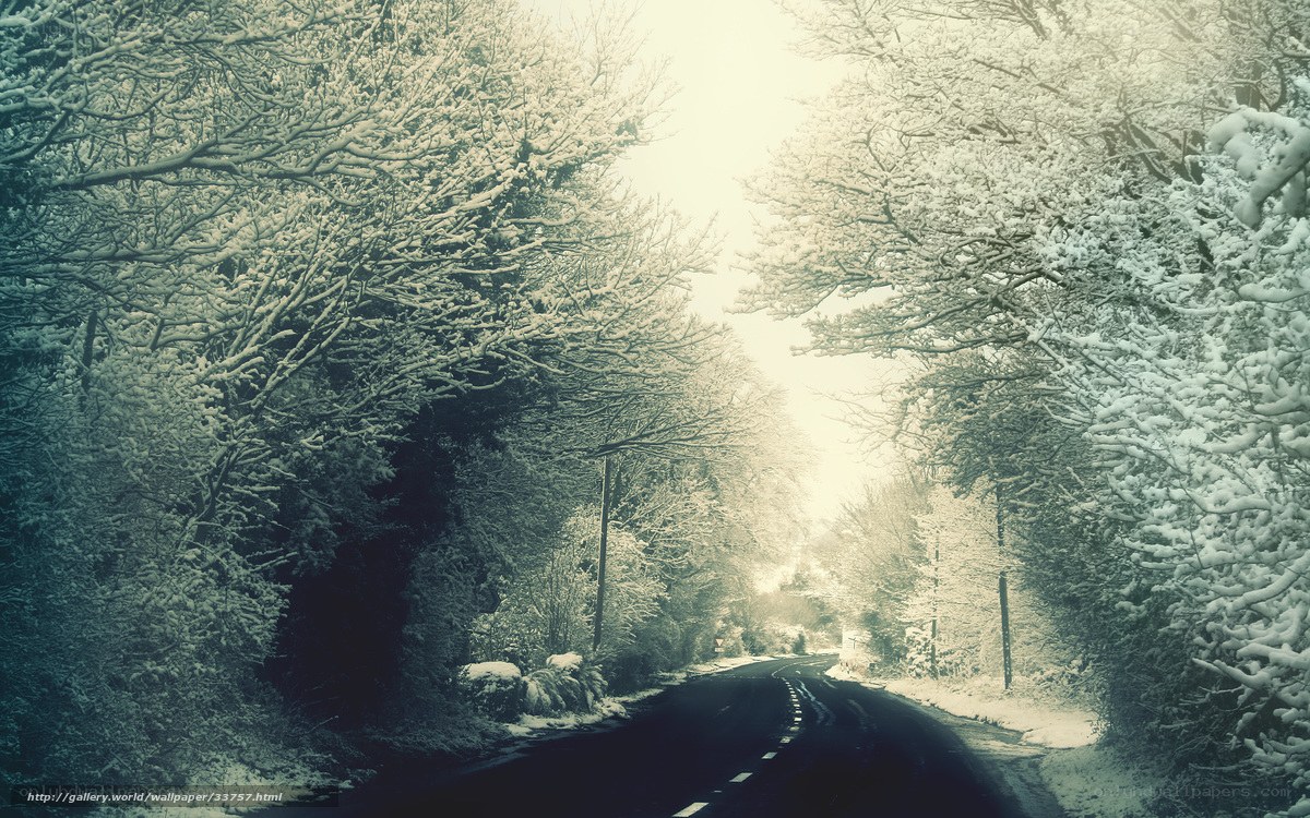 Snowy Road in Winter