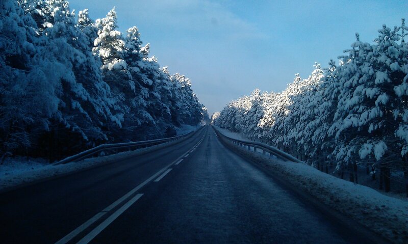 Snowy road through forest