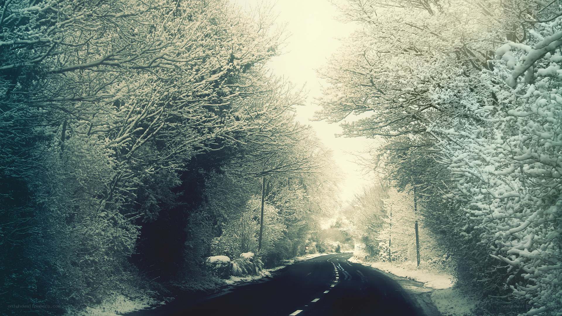 Snowy road through forest