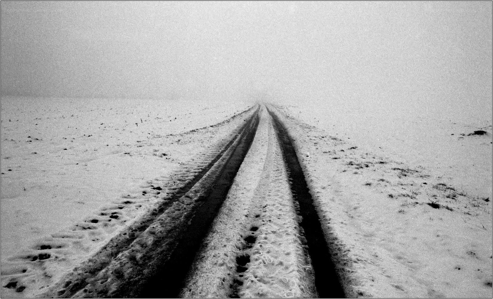Snowy road tracks in fog