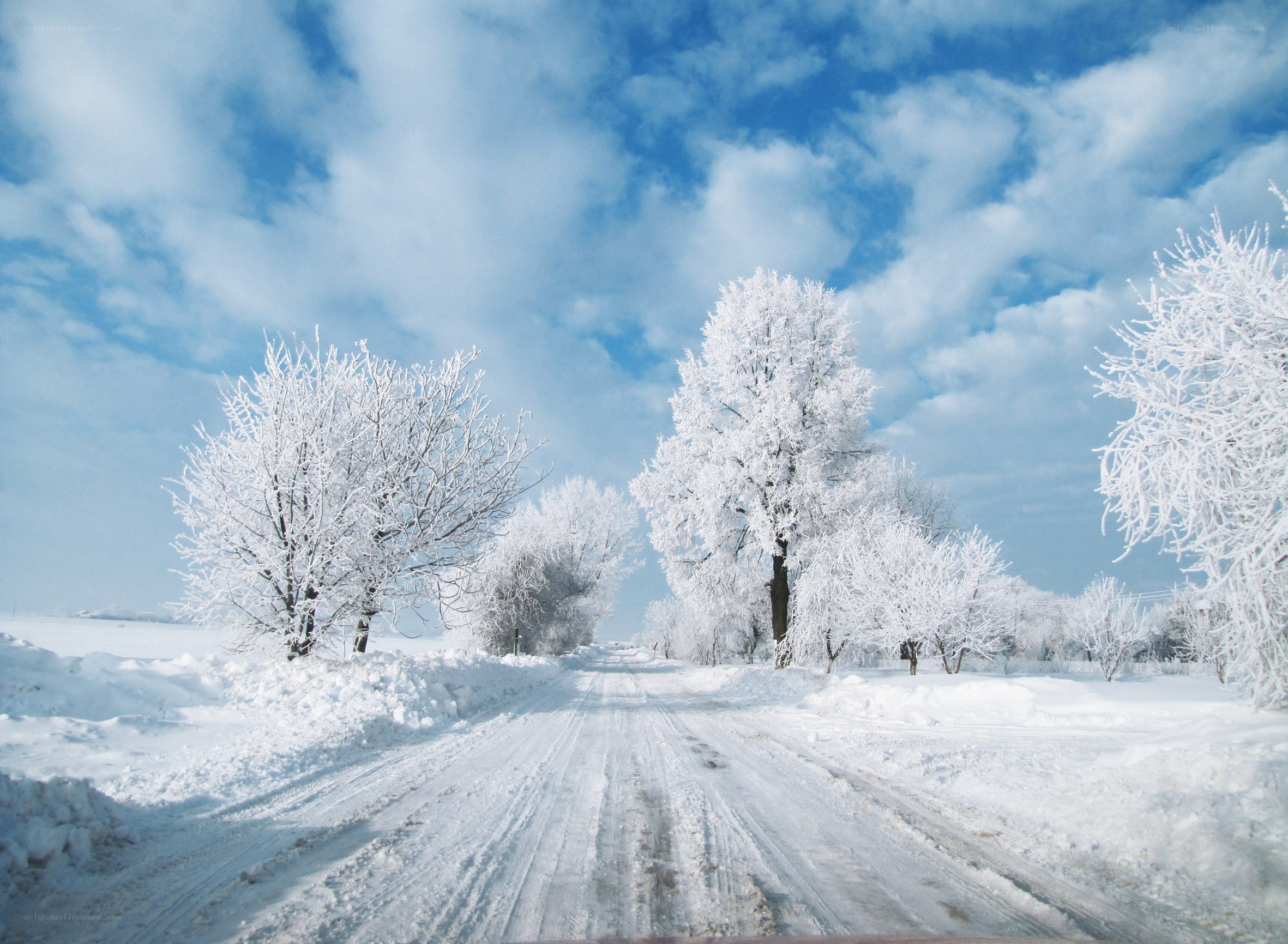 Snowy road under blue sky