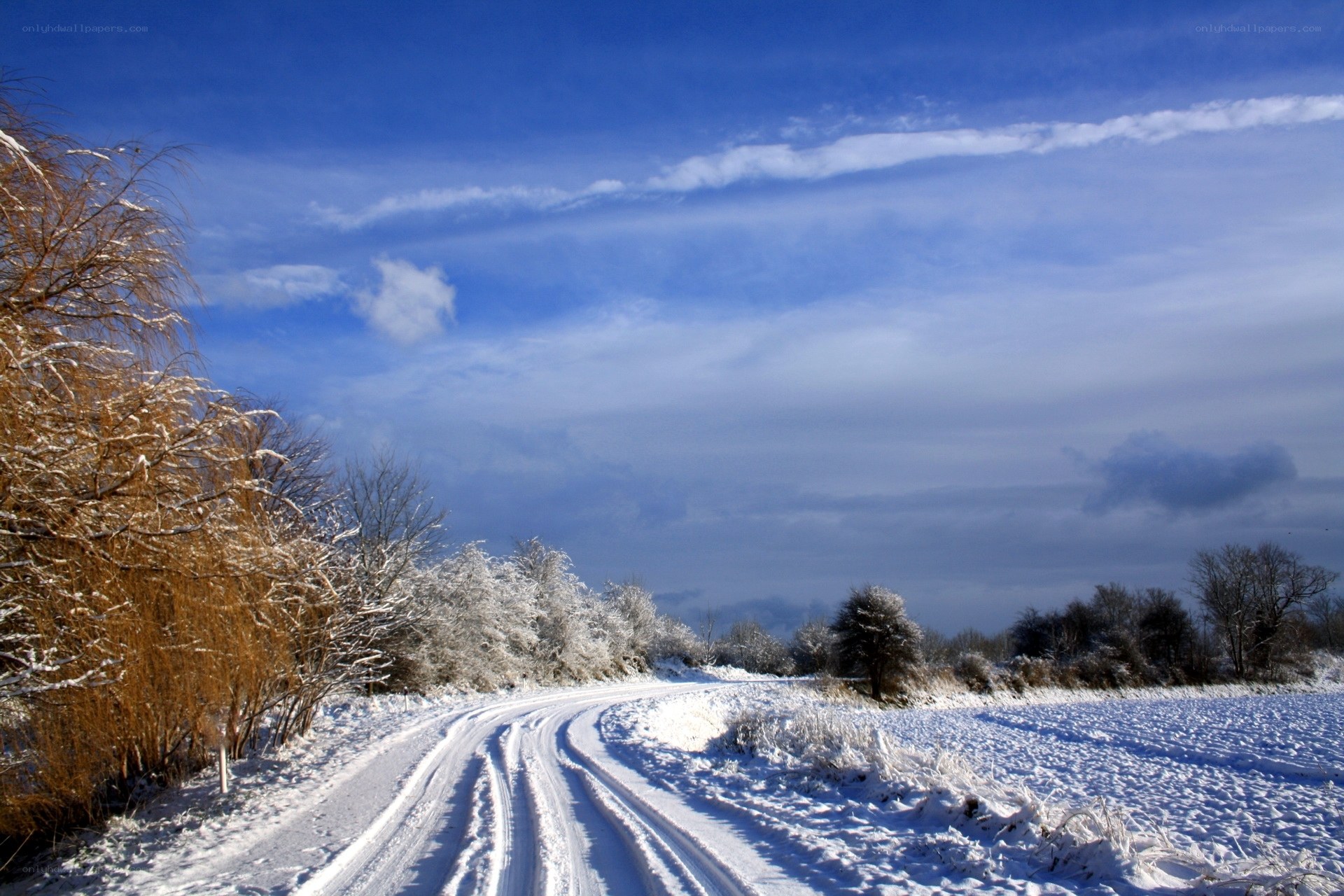 Snowy road under blue sky