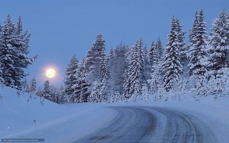 Snowy Road Under Moonlight