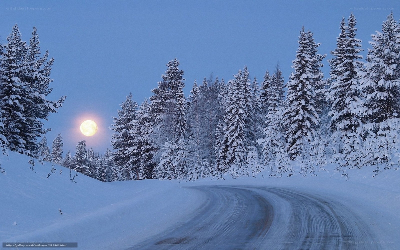 Snowy Road Under Moonlight
