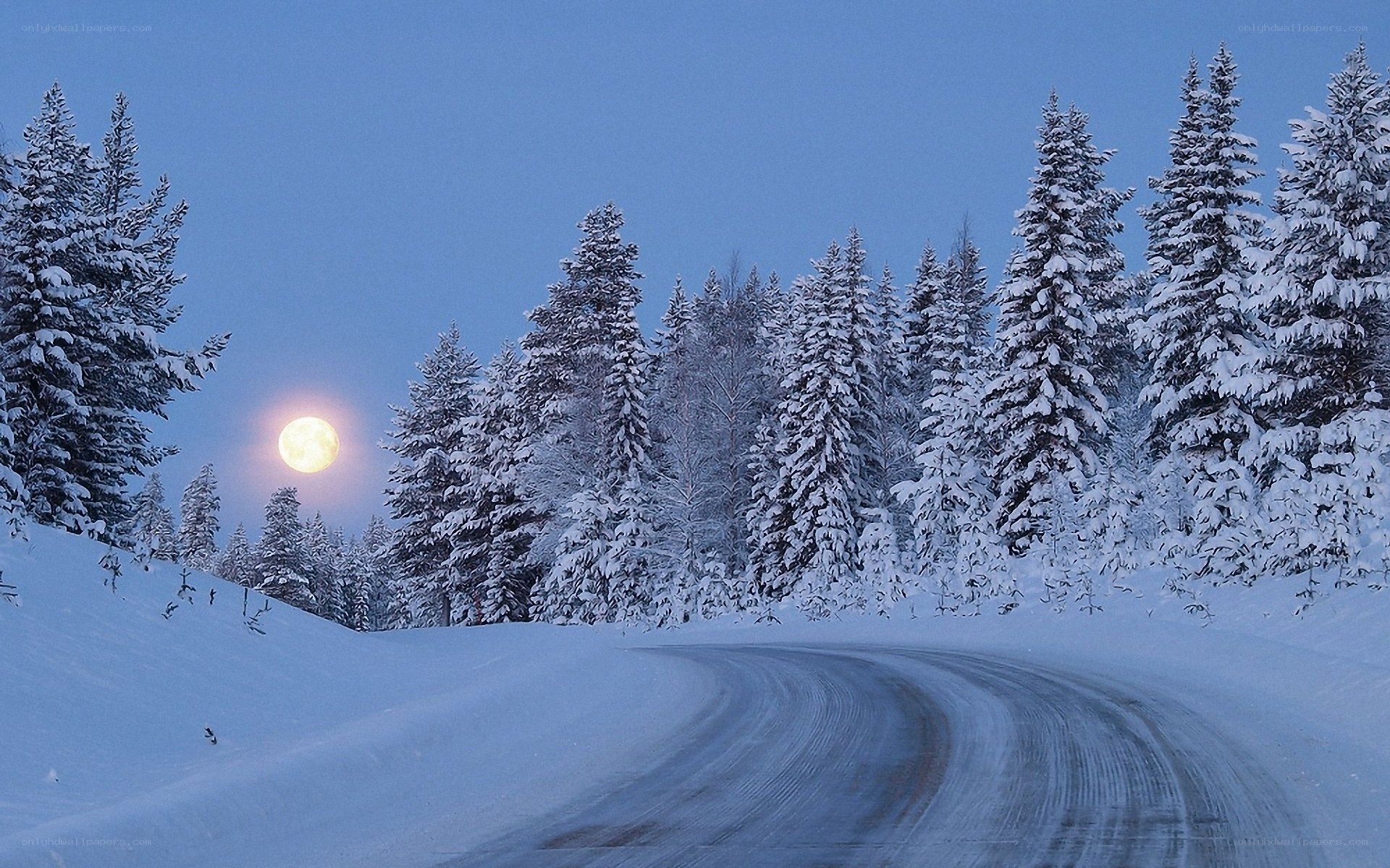 Snowy road under moonlight