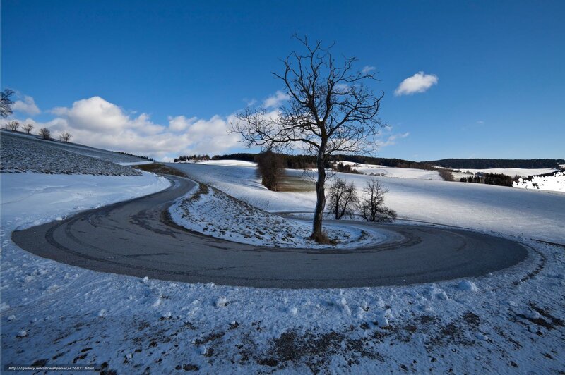 Snowy Road with Bare Tree