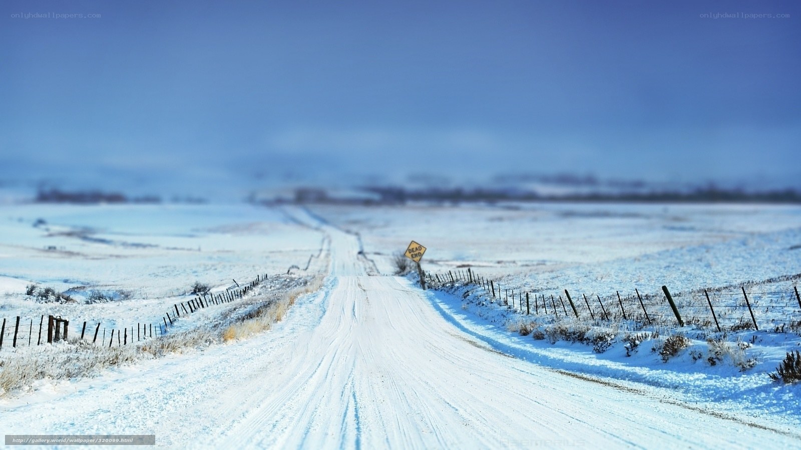 Snowy road with dead end sign
