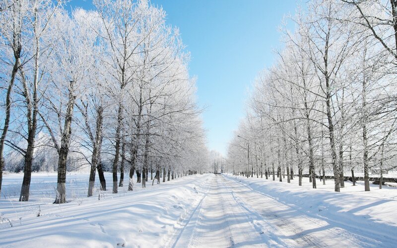 Snowy road with frost-covered trees