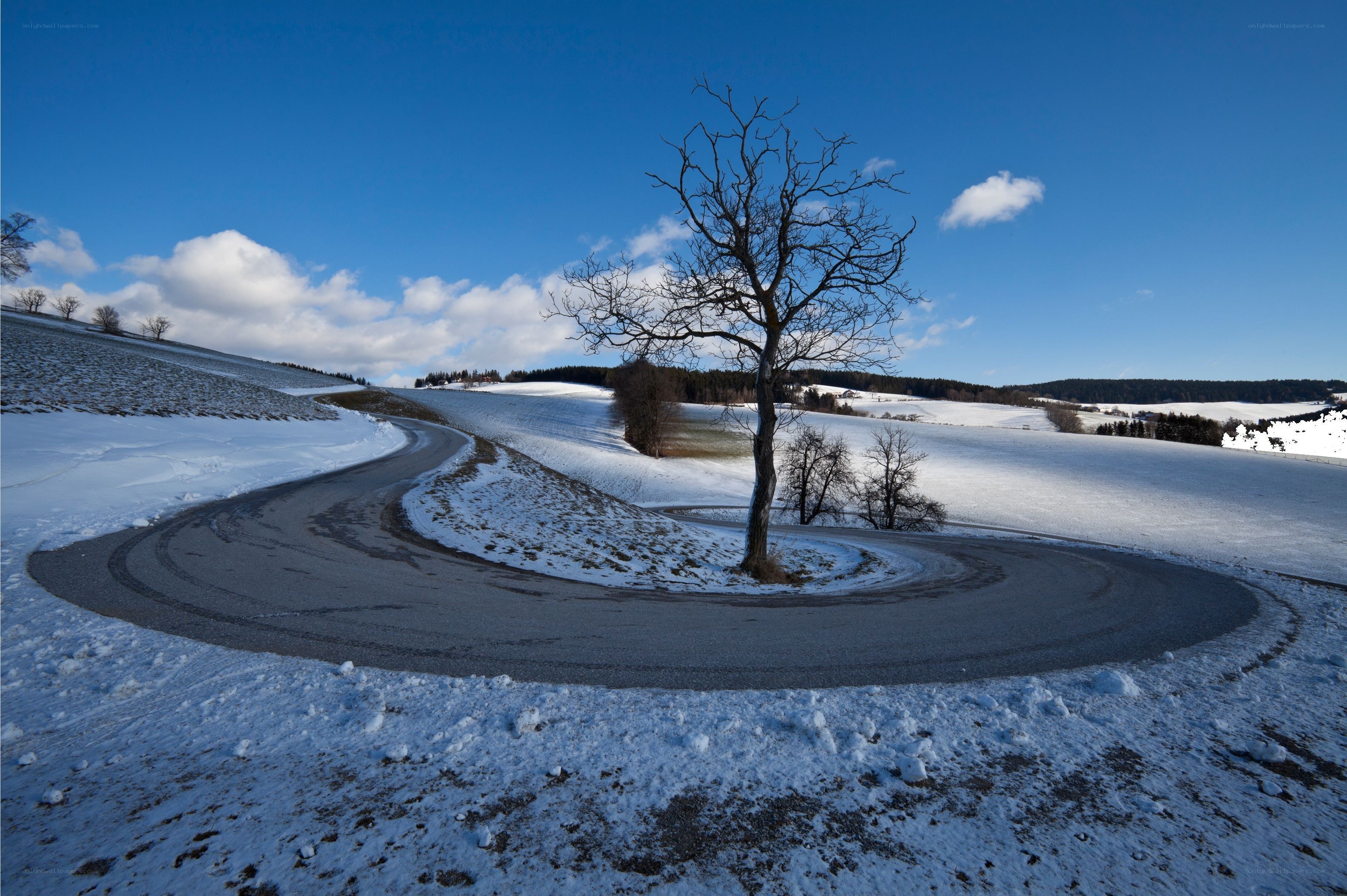 Snowy road with lone tree
