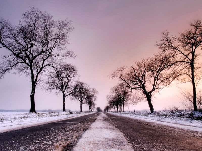 Snowy Road with Trees — Purple