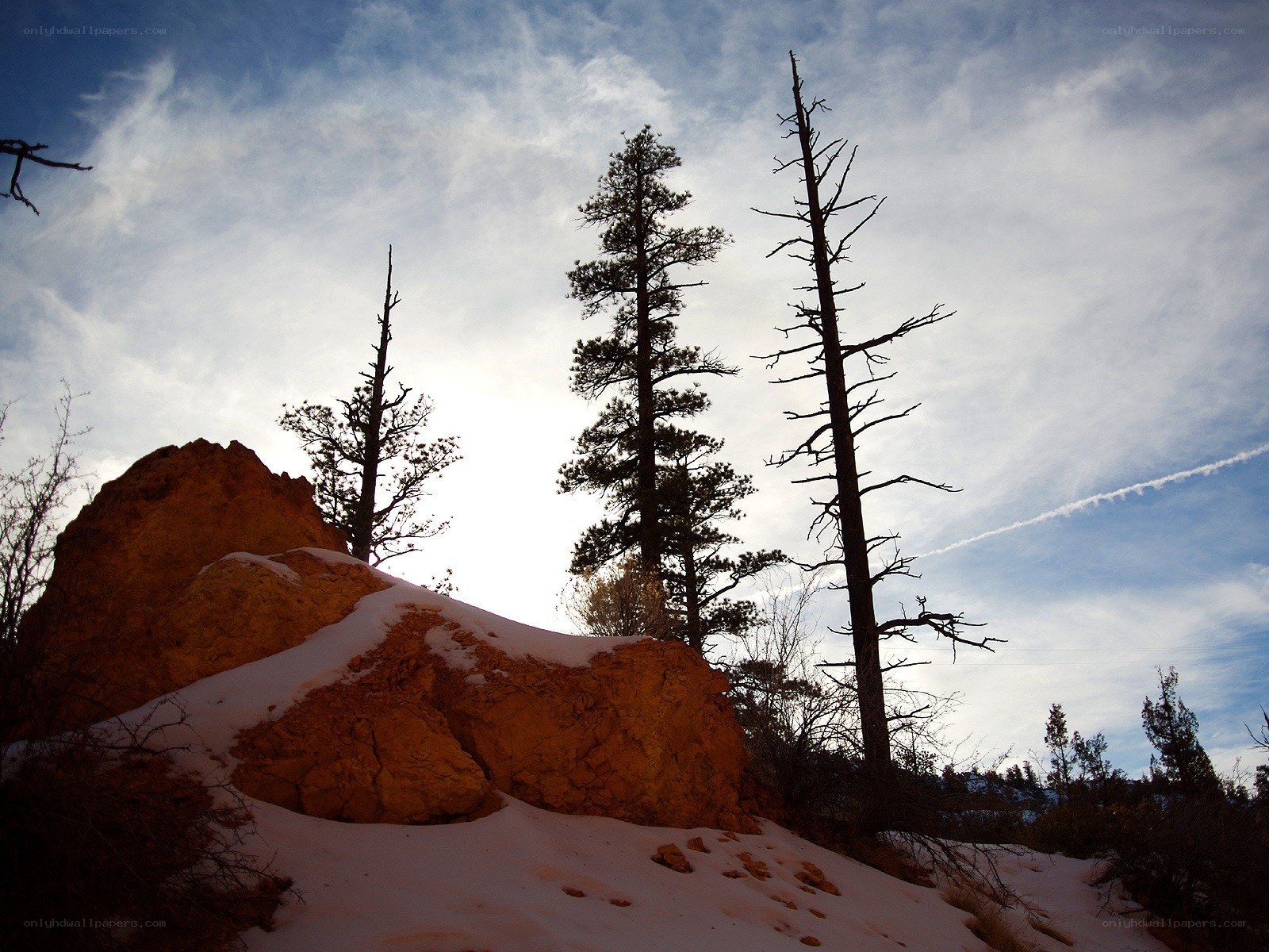 Snowy rock formation with trees