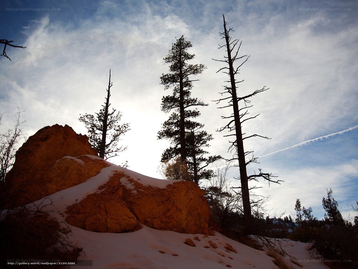 Snowy rock formations with trees