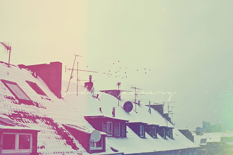 Snowy rooftops with birds