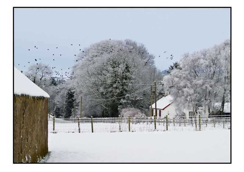 Snowy rural landscape