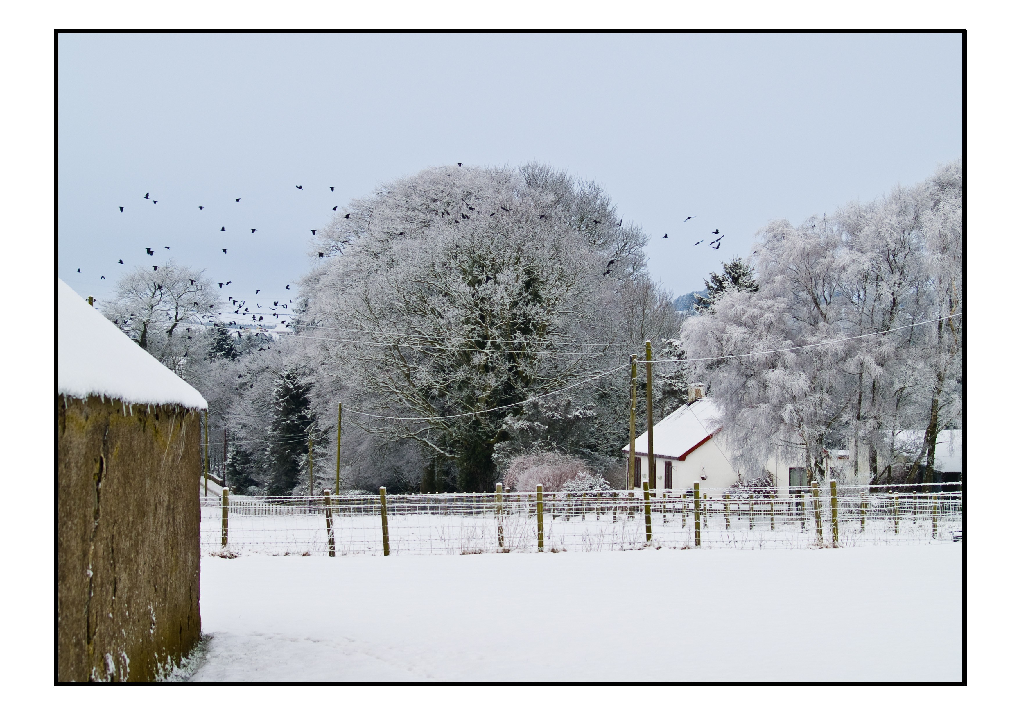 Snowy rural landscape