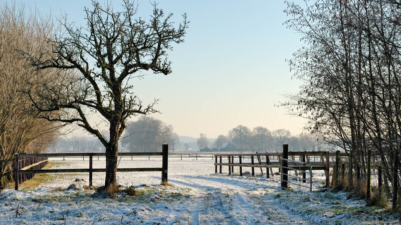 Snowy rural landscape