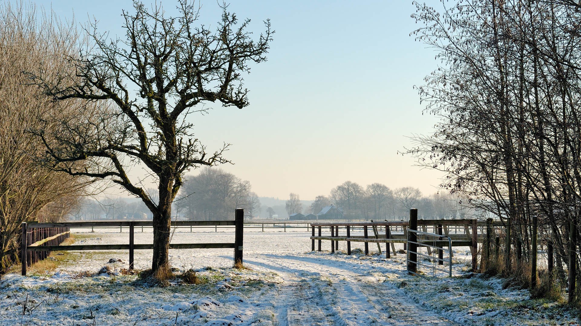 Snowy rural landscape