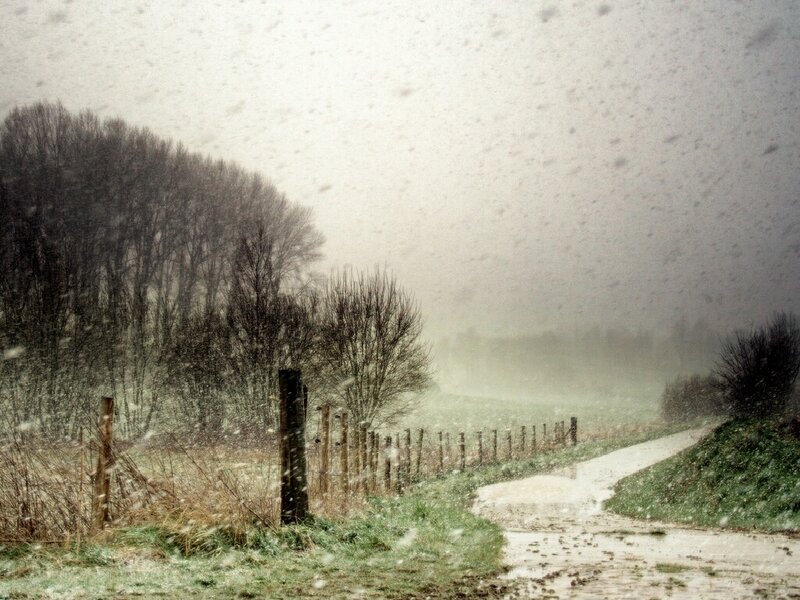Snowy rural path