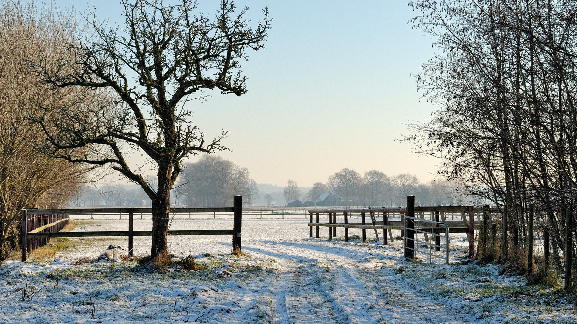 Snowy rural path with trees