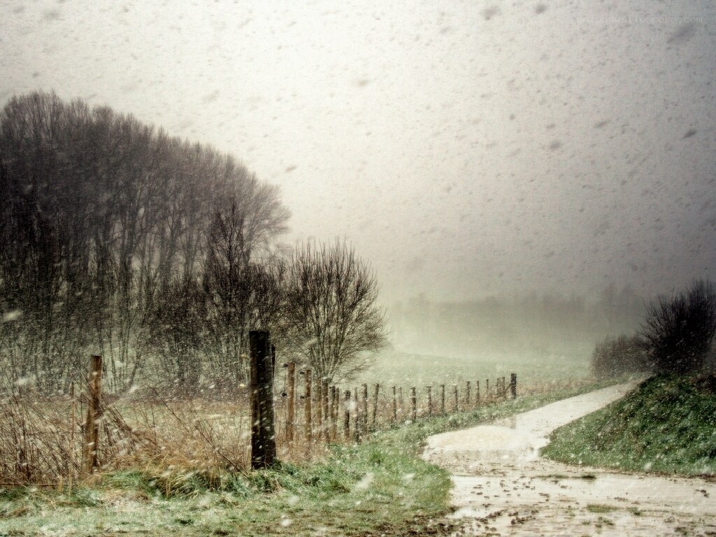 Snowy rural path