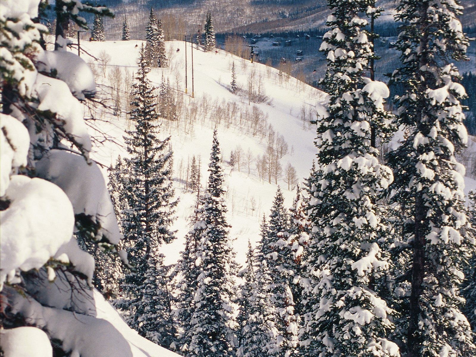 Snowy ski resort landscape