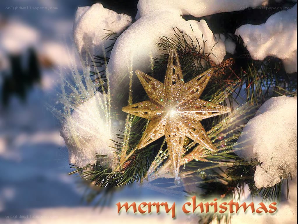 snowy star Christmas decoration