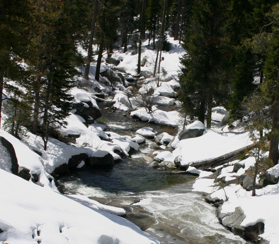 snowy stream in forest