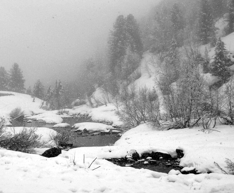 Snowy Stream in Forest