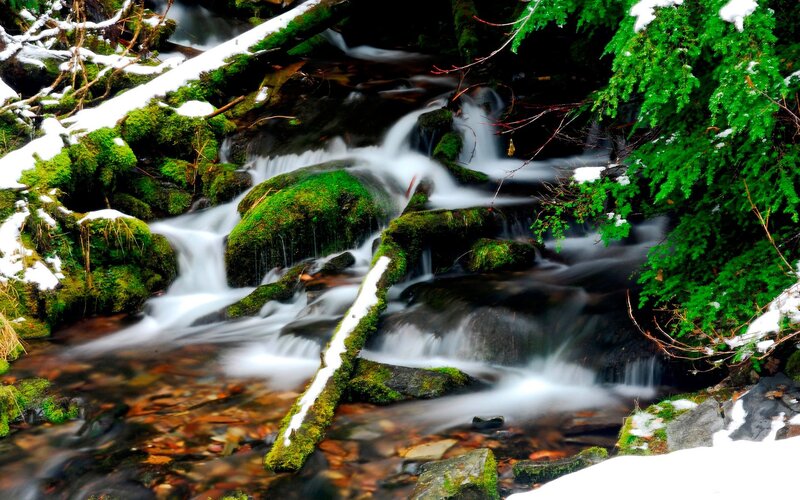 Snowy stream in forest
