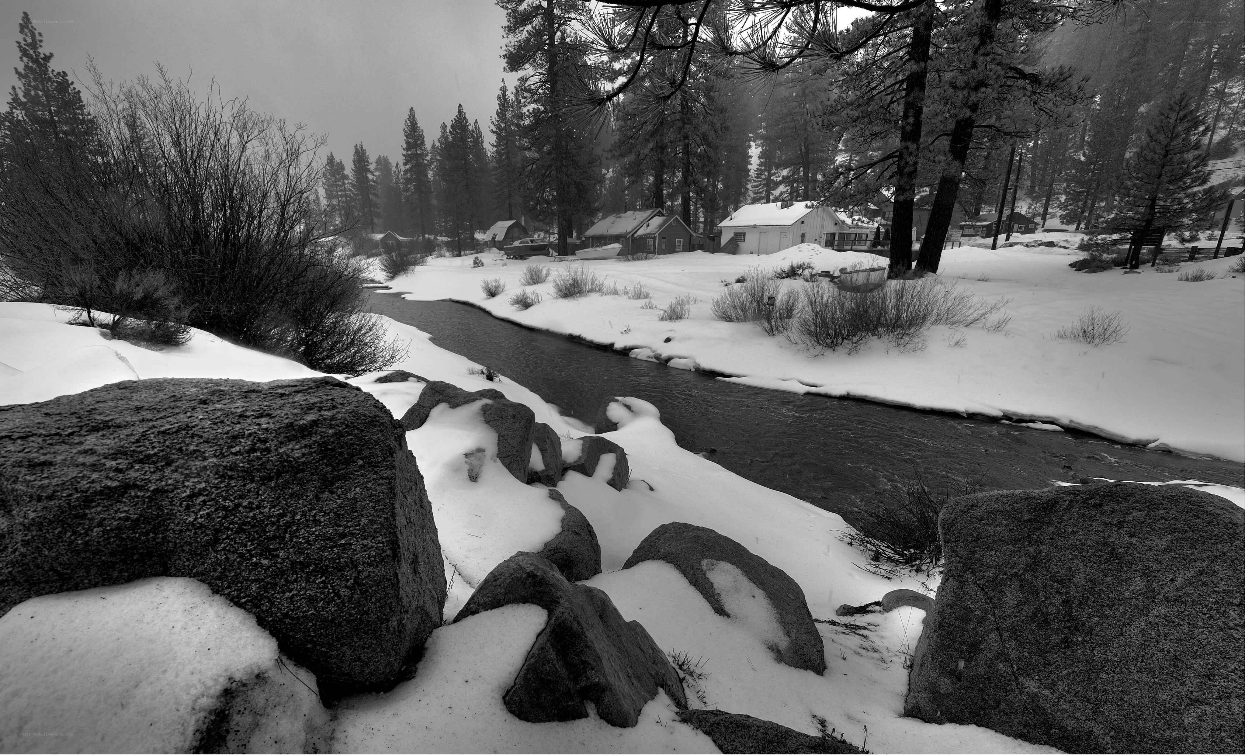 Snowy stream in forest