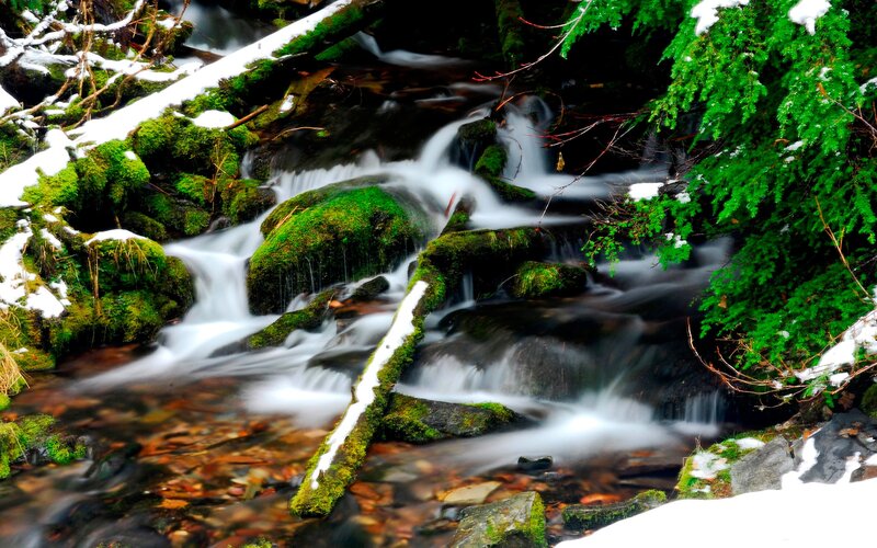 Snowy stream in forest