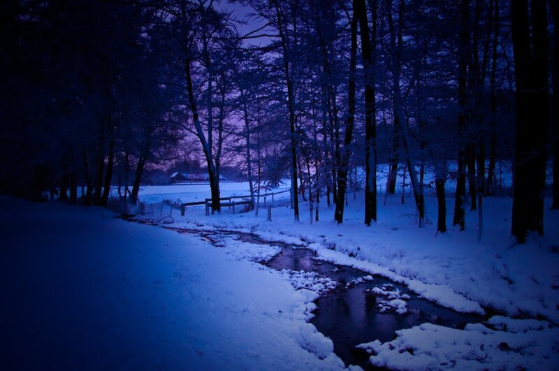 Snowy Stream in Forest — Blue, Serene