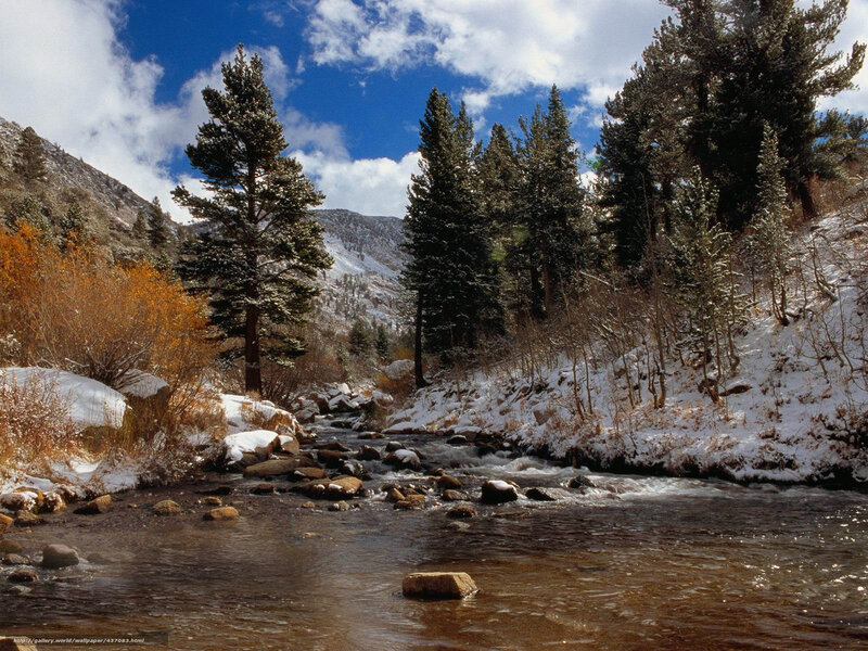 Snowy Stream in Forest — Blue, Serene, Winter, Photograph