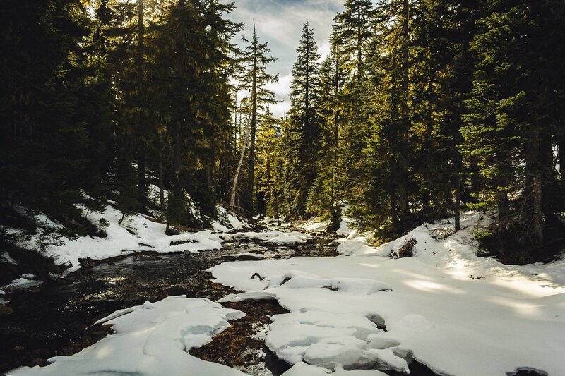 Snowy Stream in Forest — Green