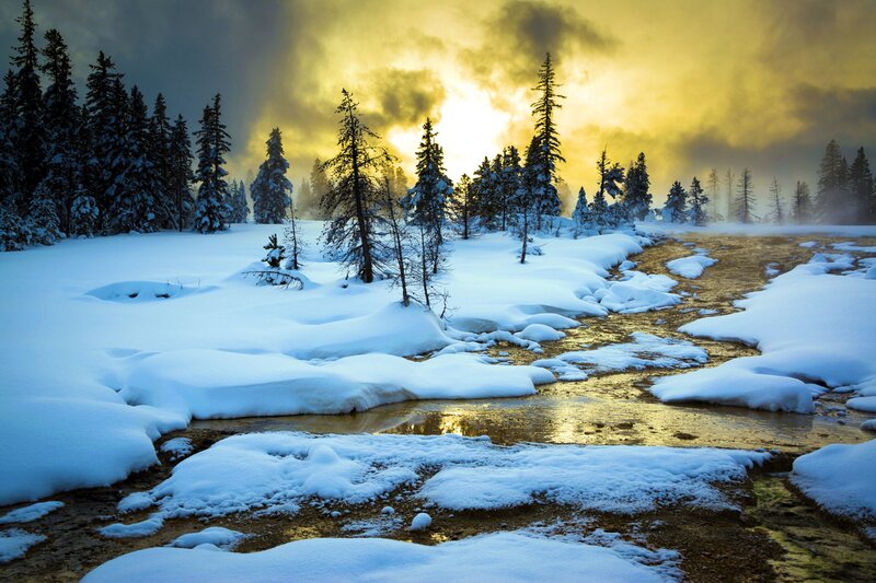 Snowy Stream in Forest — White, Dramatic