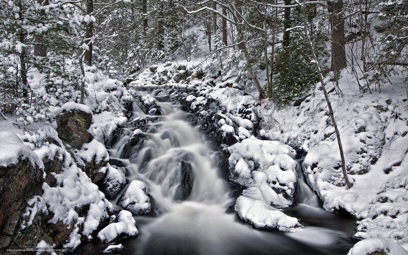 Snowy Stream in Forest — White, Serene, Winter, Photograph, Trees, Rocks