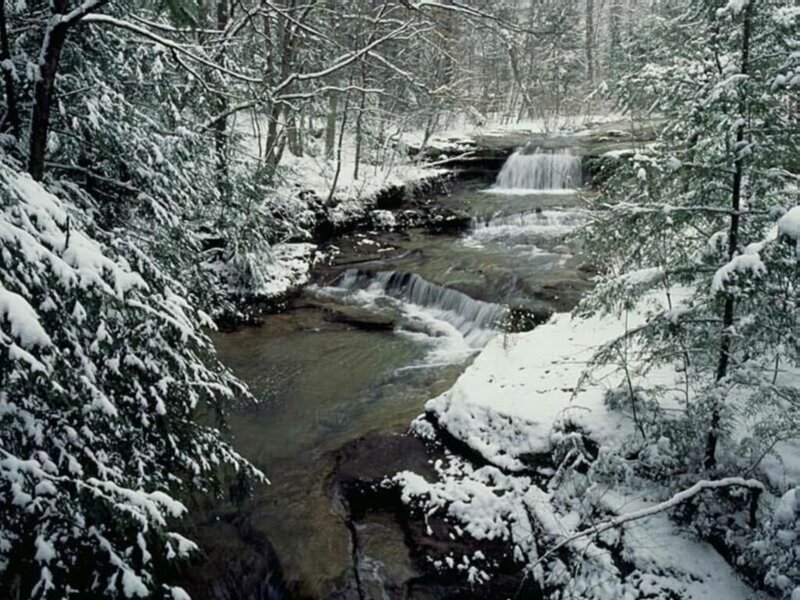 Snowy Stream in Forest — White, Serene, Winter