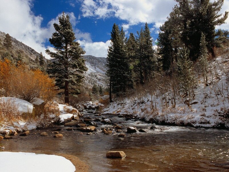 Snowy stream in mountain forest