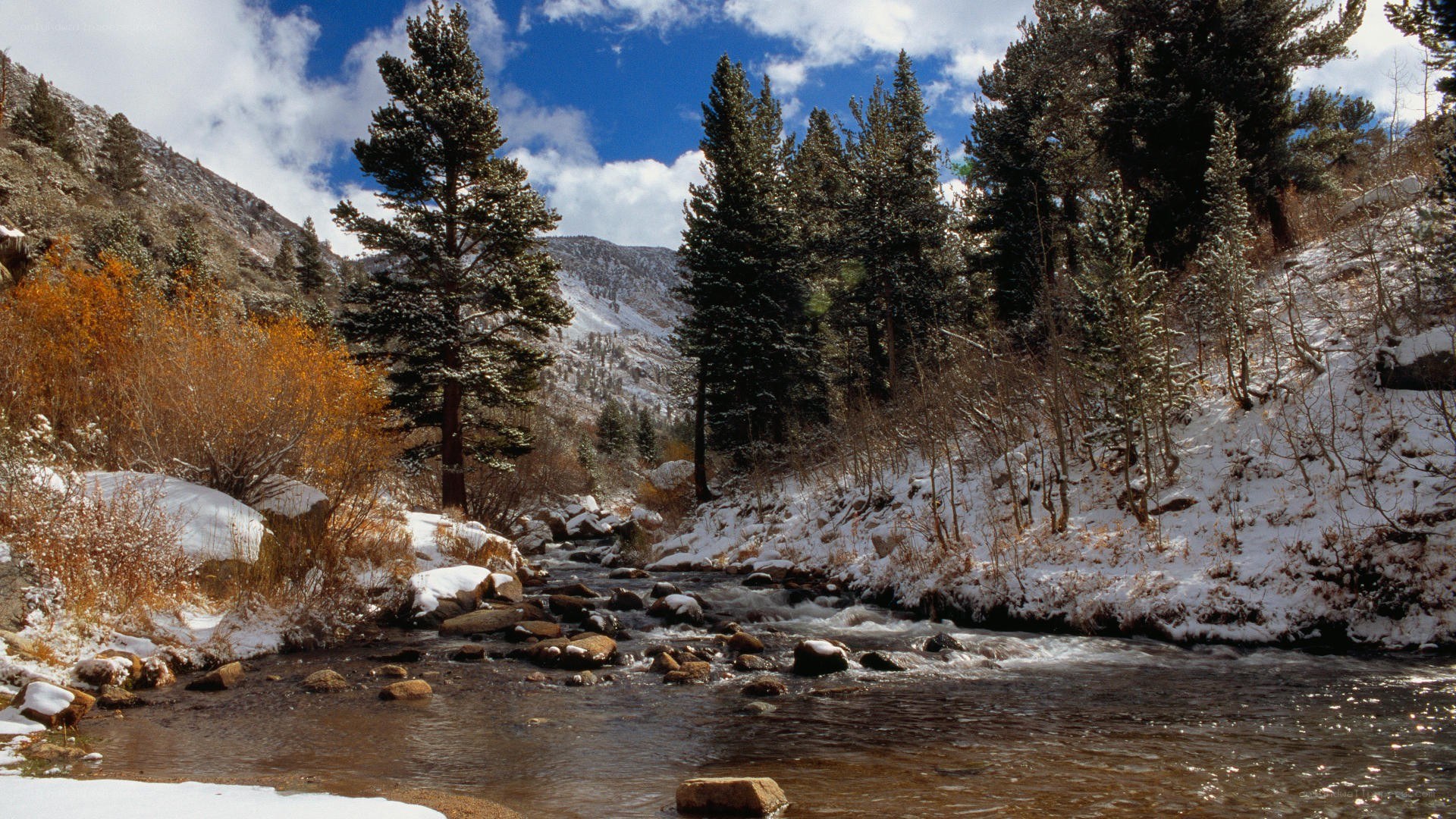 Snowy stream in mountain valley