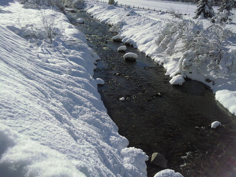 snowy stream in winter
