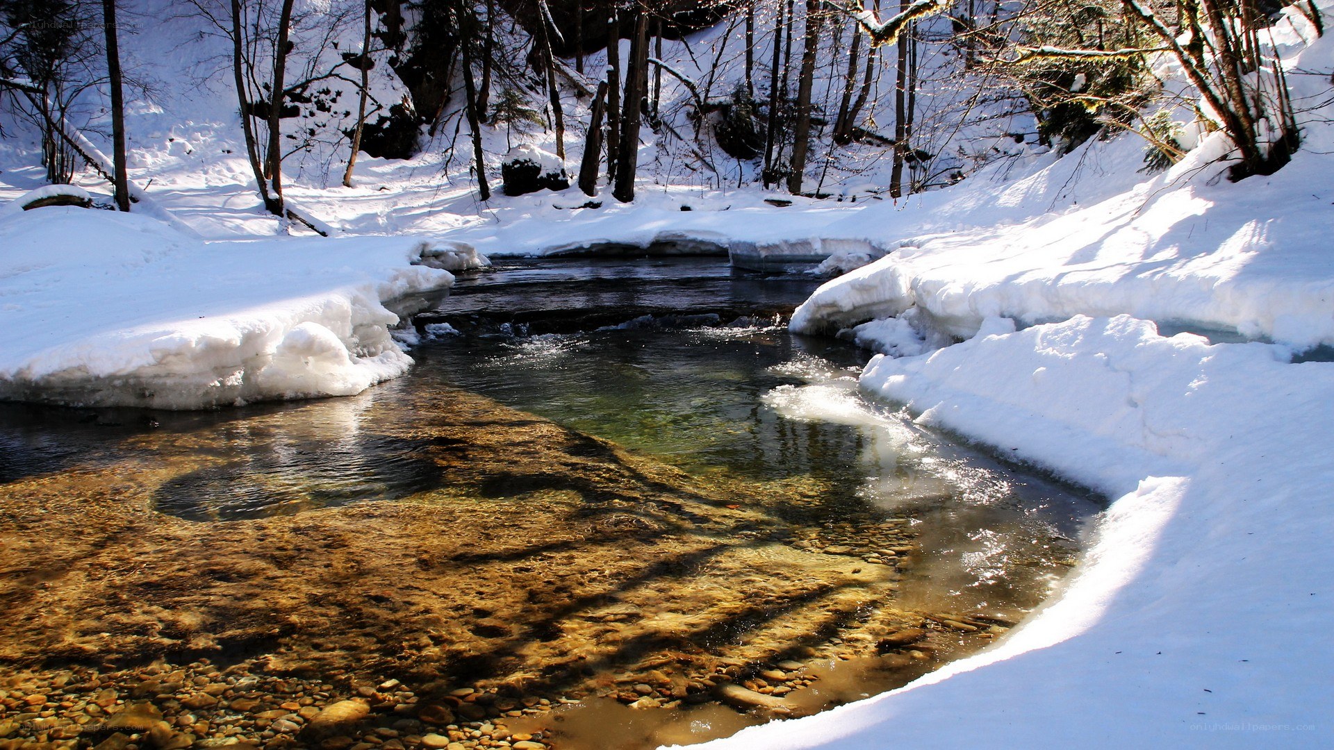 snowy stream in winter forest