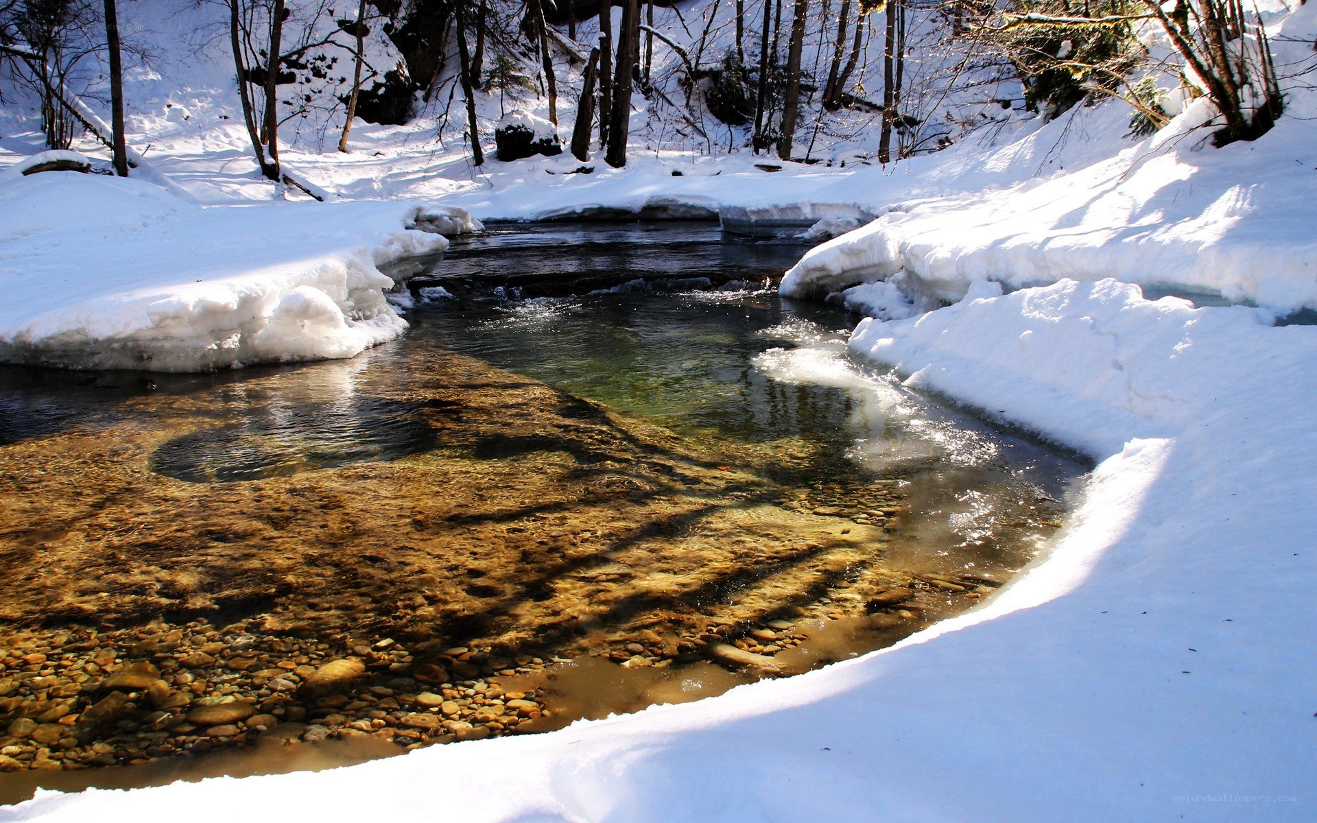 Snowy stream in winter forest