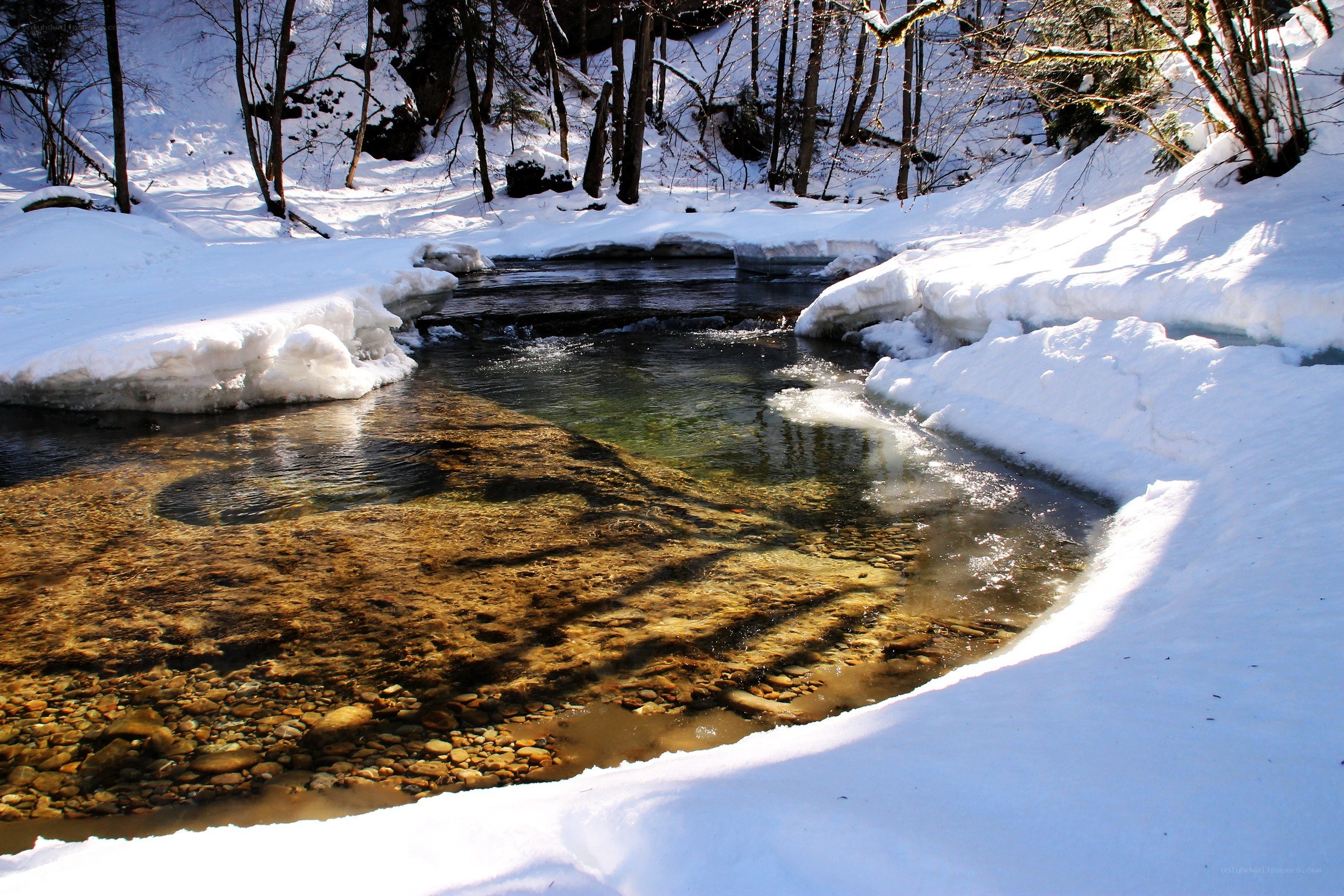 Snowy stream in winter forest